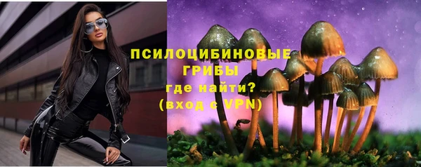 метадон Медвежьегорск